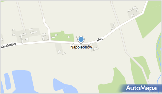 Napoleonów (powiat radomszczański), Napoleonów - Inne