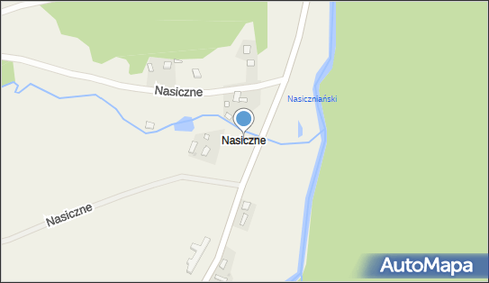 Nasiczne, Nasiczne - Inne