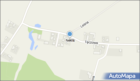 Nekla (województwo kujawsko-pomorskie), Nekla - Inne