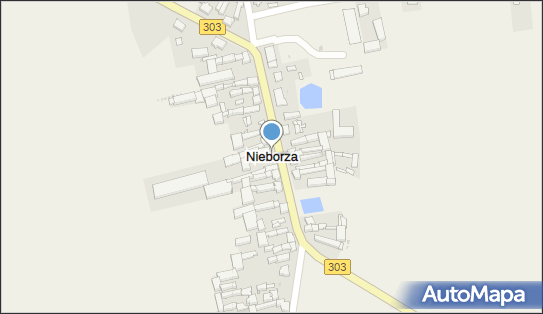 Nieborza, Nieborza - Inne