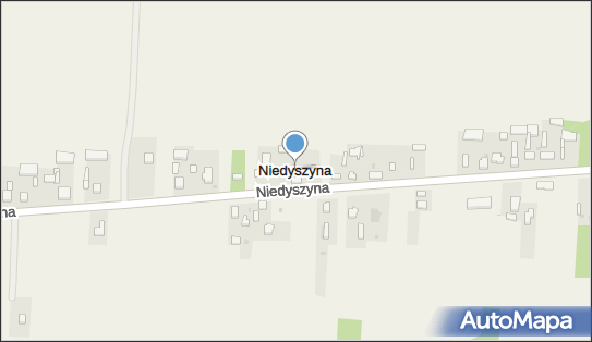 Niedyszyna, Niedyszyna - Inne