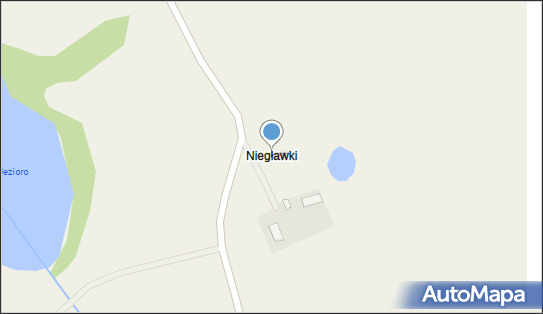 Niegławki, Niegławki - Inne