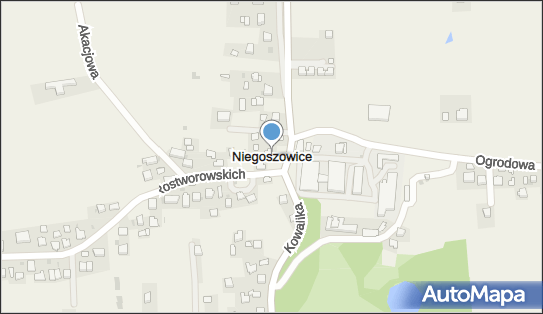 Niegoszowice, Niegoszowice - Inne