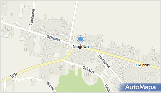 Niegowa, Niegowa - Inne