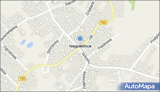 Niegowonice, 790, Niegowonice - Inne