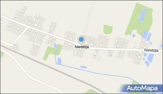 Niestoja, Niestoja - Inne