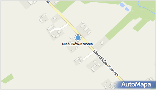 Niesułków-Kolonia, Niesułków-Kolonia - Inne