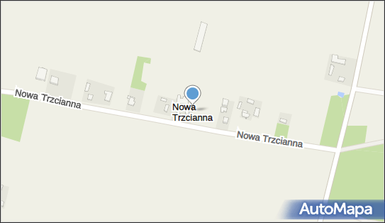 Nowa Trzcianna, Nowa Trzcianna - Inne