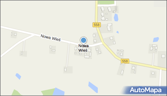 Nowa Wieś (gmina Wielgie), Nowa Wieś - Inne