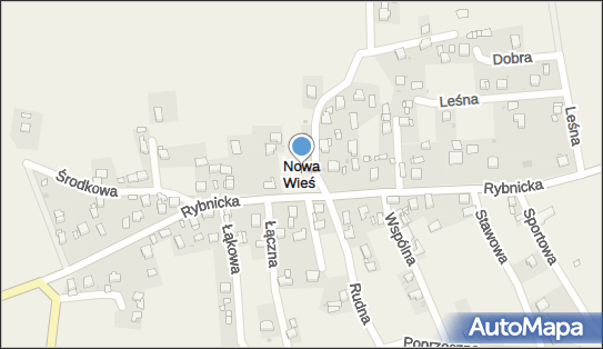 Nowa Wieś (powiat rybnicki), Nowa Wieś - Inne