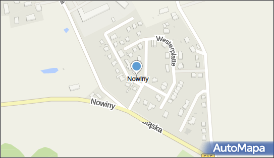 Nowiny (gmina Dzierzgoń), Nowiny - Inne