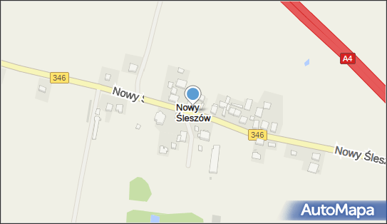 Nowy Śleszów, Nowy Śleszów - Inne