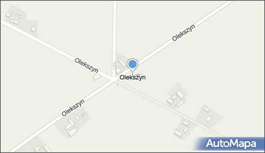 Olekszyn, Olekszyn - Inne