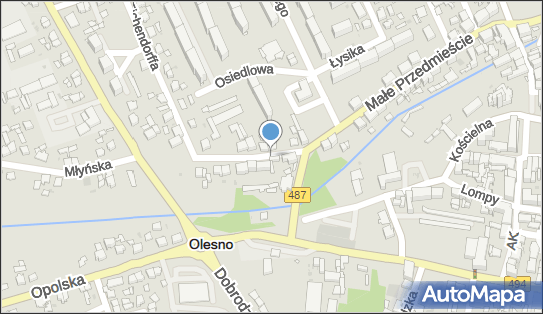 Olesno, Eichendorffa Józefa, Olesno 46-300 - Inne