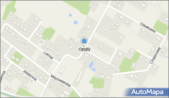 Opypy, Opypy - Inne