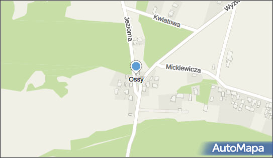Ossy, Ossy - Inne