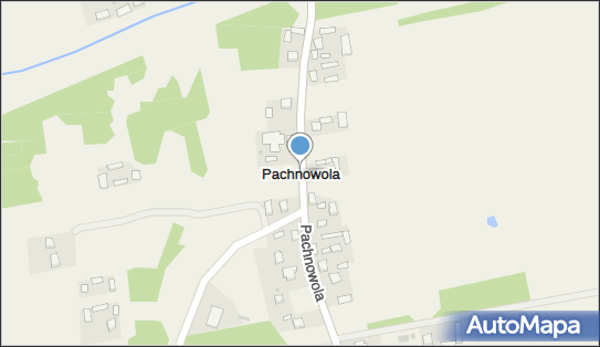 Pachnowola, Pachnowola - Inne