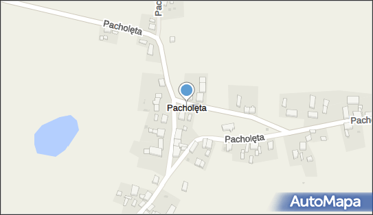 Pacholęta, Pacholęta - Inne