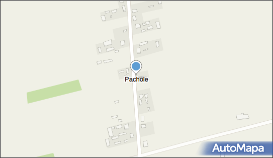 Pachole, Pachole - Inne