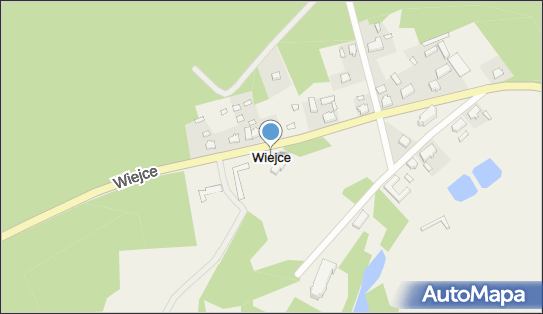 Pałac Wiejce, Wiejce - Inne