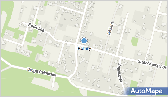 Palmiry, Palmiry - Inne