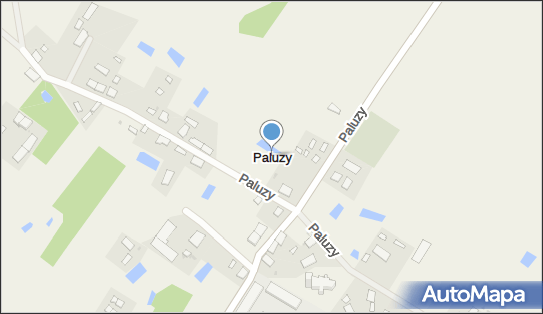 Paluzy, Paluzy - Inne