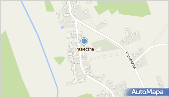 Pasieczna, Pasieczna - Inne