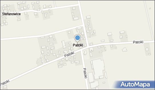 Patoki (powiat łaski), Patoki - Inne
