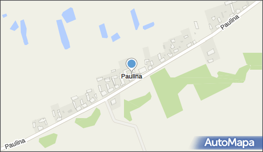 Paulina (województwo kujawsko-pomorskie), Paulina - Inne