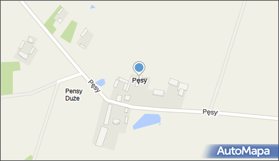 Pęsy, Pęsy - Inne