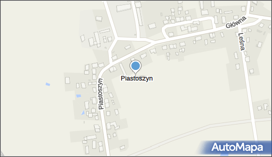 Piastoszyn, Piastoszyn - Inne