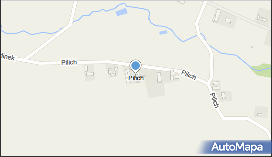 Pilich, Pilich - Inne