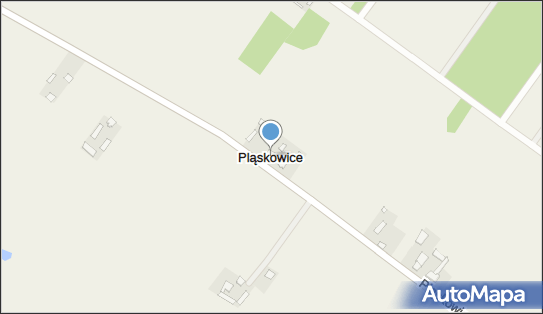 Pląskowice, Pląskowice - Inne