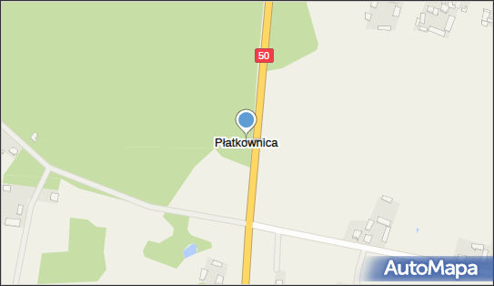 Płatkownica, Płatkownica - Inne