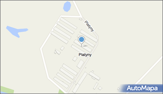 Platyny, Platyny - Inne