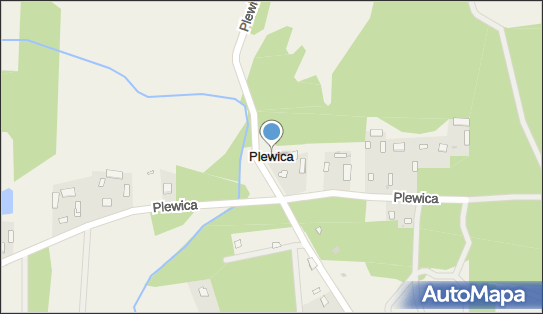 Plewica, Plewica - Inne