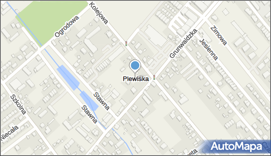 Plewiska, Plewiska - Inne