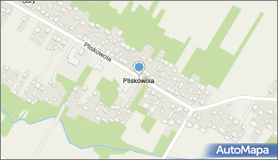 Pliskowola, Pliskowola - Inne