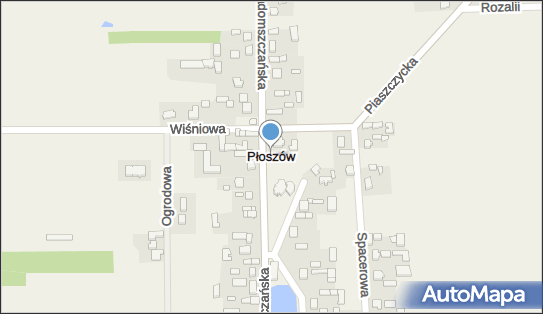 Płoszów, Płoszów - Inne