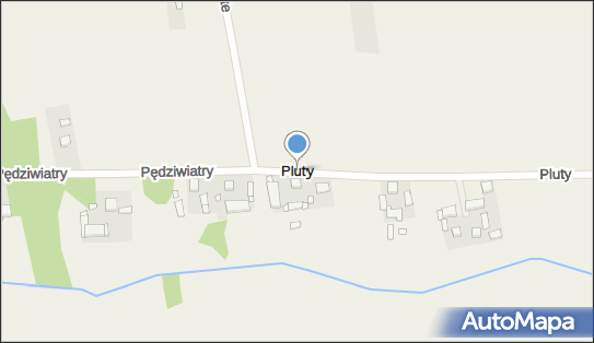 Pluty (województwo łódzkie), Pluty - Inne