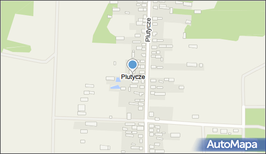 Plutycze, Plutycze - Inne