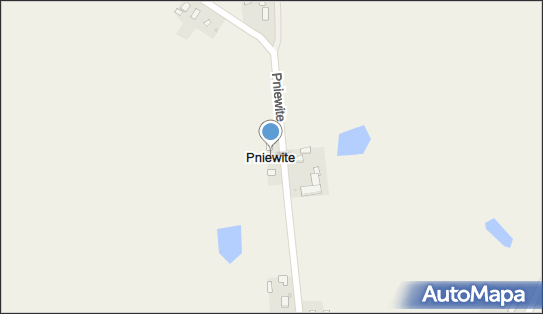 Pniewite, Pniewite - Inne