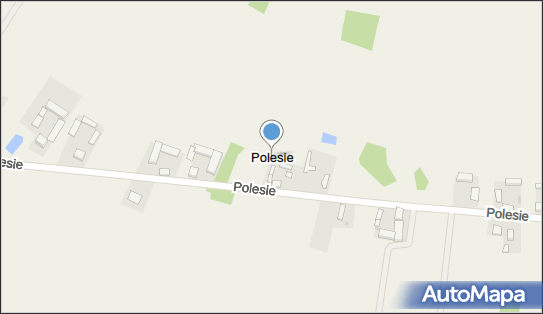 Polesie (powiat poddębicki), Polesie - Inne