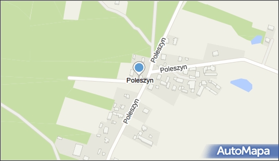 Poleszyn, Poleszyn - Inne