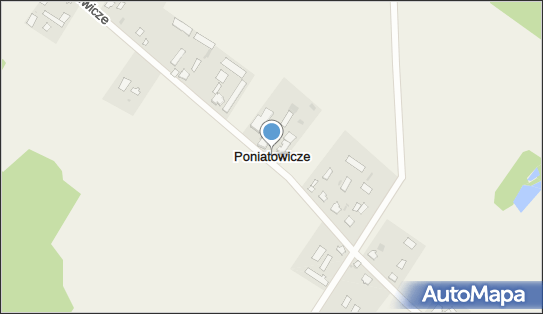 Poniatowicze, Poniatowicze - Inne