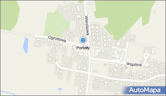 Porosły, Porosły - Inne