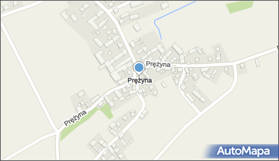 Prężyna, Prężyna - Inne