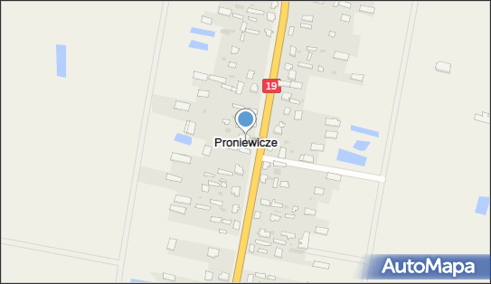 Proniewicze, Proniewicze - Inne