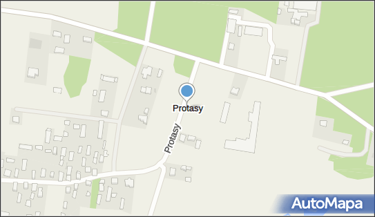 Protasy, Protasy - Inne