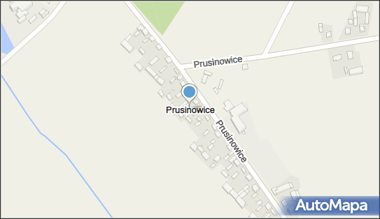 Prusinowice (powiat zduńskowolski), Prusinowice - Inne